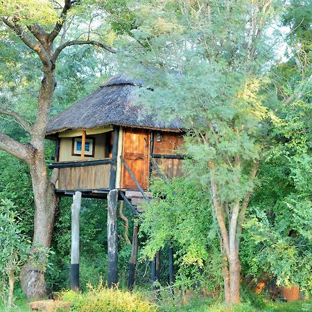 Ivory Lodge Dete Esterno foto