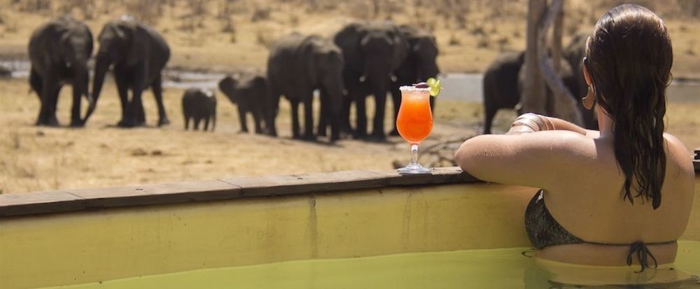 Ivory Lodge Dete Esterno foto