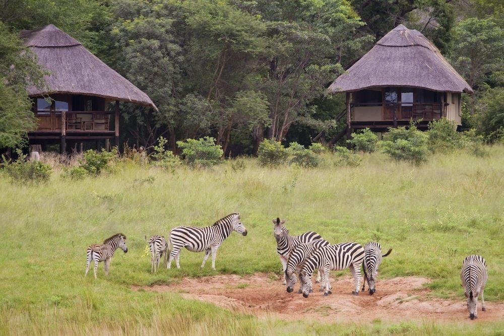 Ivory Lodge Dete Esterno foto