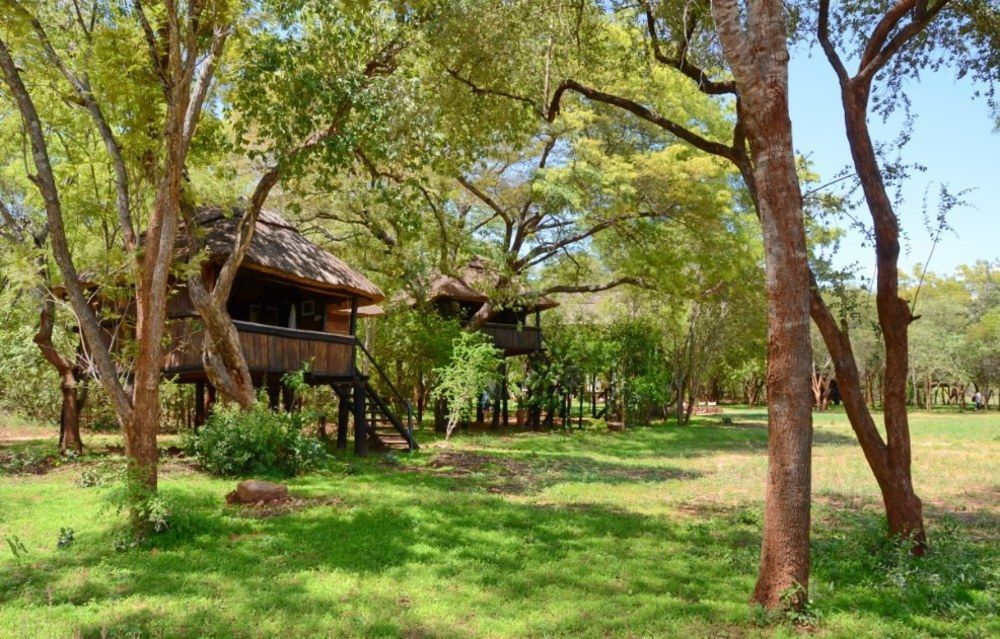 Ivory Lodge Dete Esterno foto