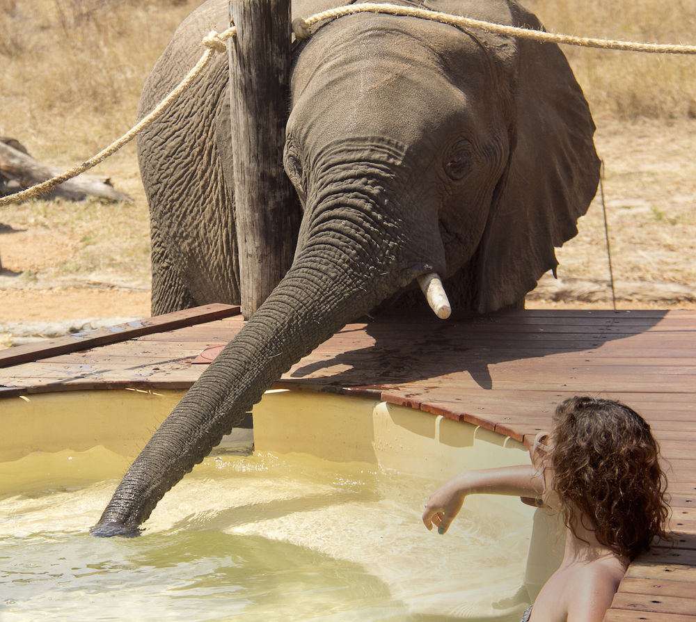 Ivory Lodge Dete Esterno foto