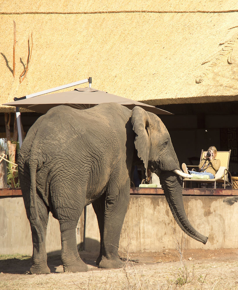 Ivory Lodge Dete Esterno foto