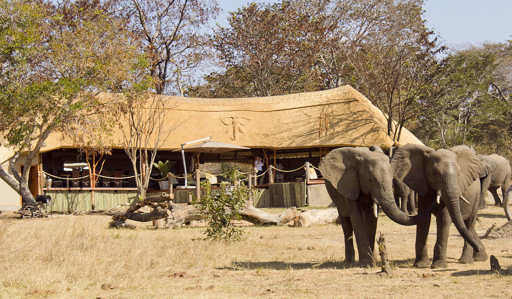 Ivory Lodge Dete Esterno foto