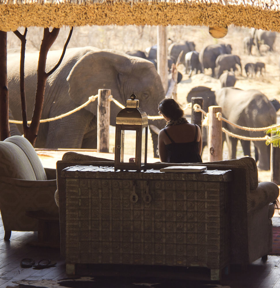 Ivory Lodge Dete Esterno foto