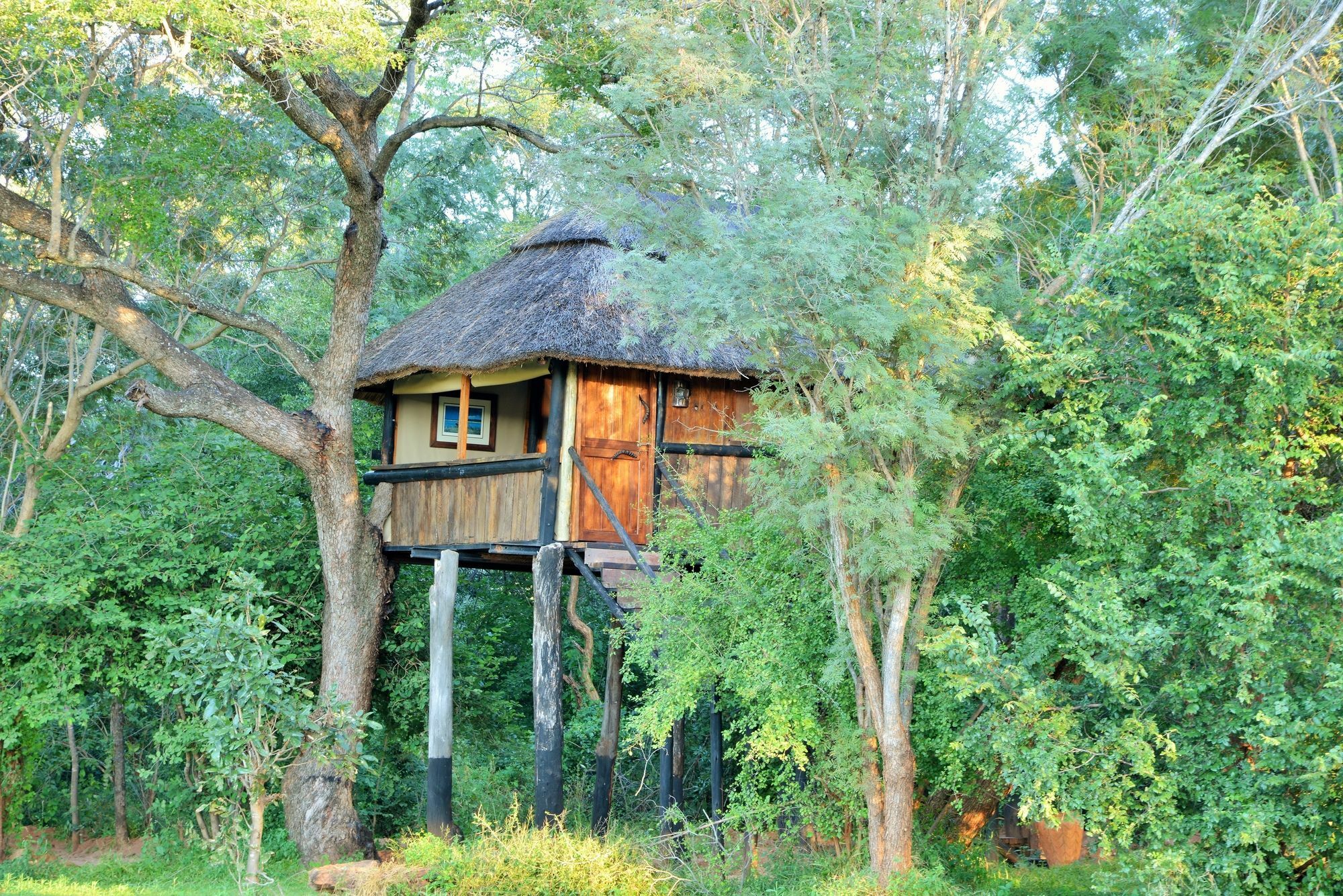 Ivory Lodge Dete Esterno foto